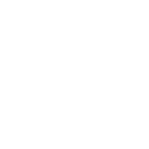 thestar-1.png