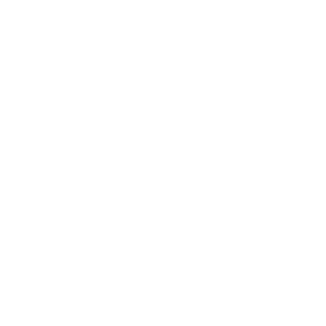 villageraodshow.png
