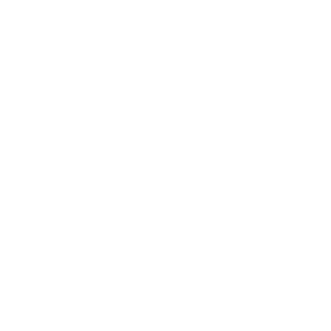 brisbane city council